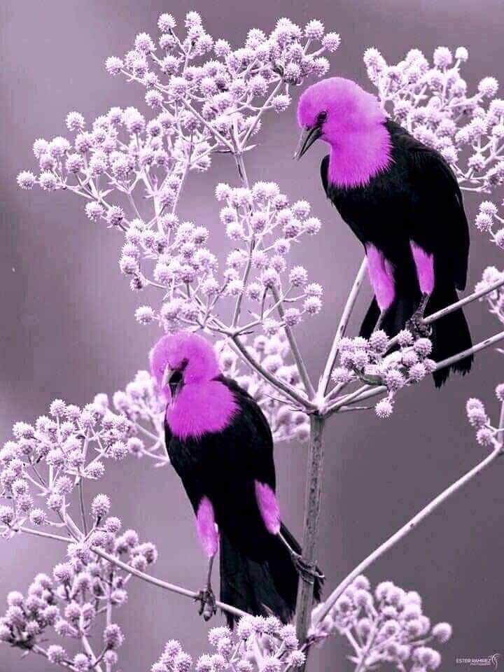 Understanding And Managing Stress For Emotional Wellbeing